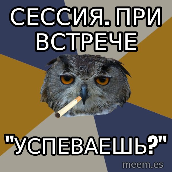 Art Student Owl meme: сессия. при встрече / "успеваешь?"