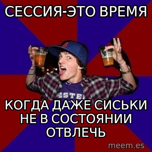 Sunny Student meme: сессия-это время / когда даже сиськи не в состоянии отвлечь