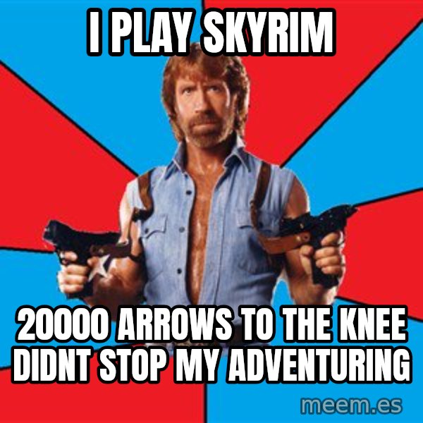 Chuck Norris  meme: i play skyrim / 20000 arrows to the knee didnt stop my adventuring