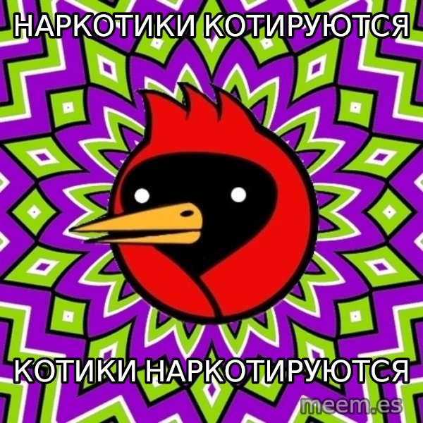 Omsk Crow meme: Наркотики котируются / котики наркотируются