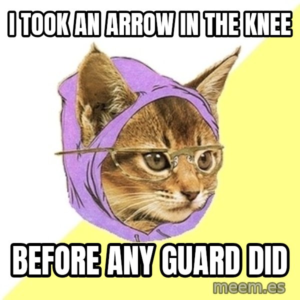 Hipster Kitty meme: i took an arrow in the knee / before any guard did