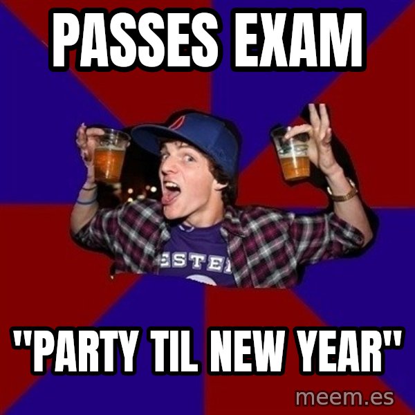 Sunny Student meme: passes exam / "party til new year"
