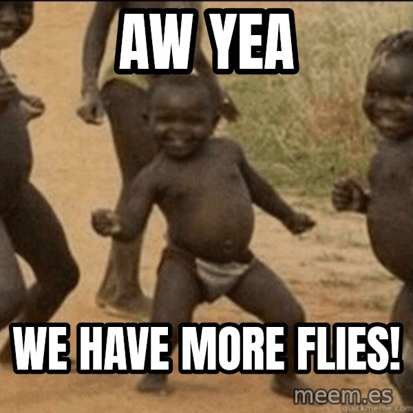 Third World Success meme: aw yea / we have more flies!