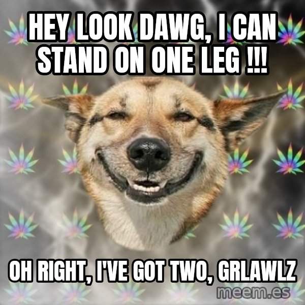 Stoner Dog meme: hey look dawg, i can stand on one leg !!! / oh right, i've got two, grlawlz