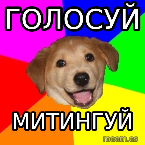 Advice Dog meme: Голосуй / Митингуй
