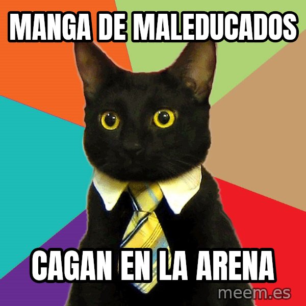 Business Cat meme: MANGA DE MALEDUCADOS / CAGAN EN LA ARENA