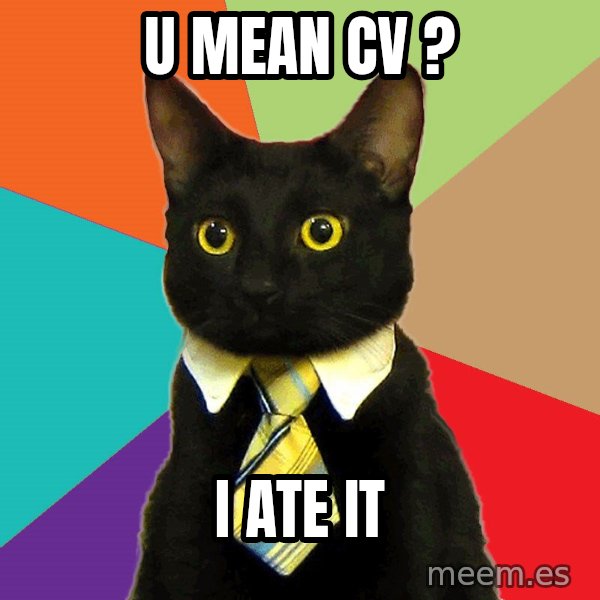 Business Cat meme: u mean cv ? / i ate it