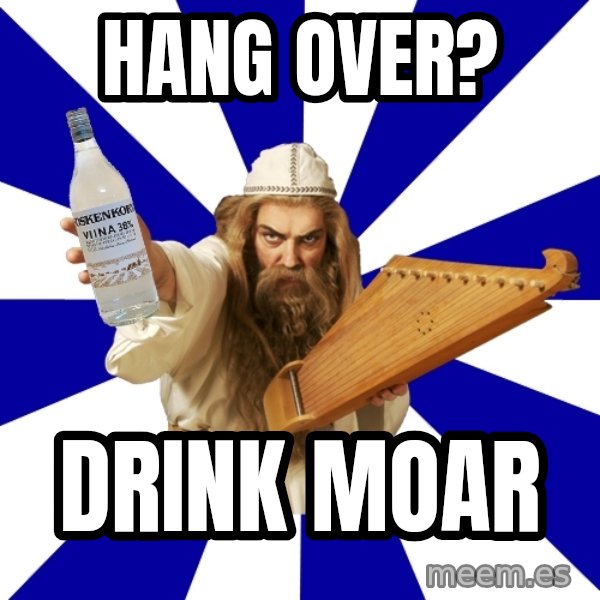 FinnishProblems meme: Hang over? / Drink MOAR