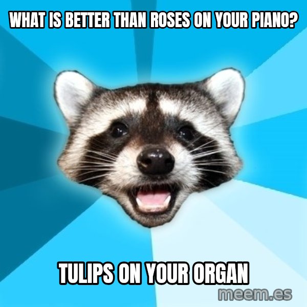 Lame Pun Coon meme: what is better than roses on your piano? / tulips on your organ