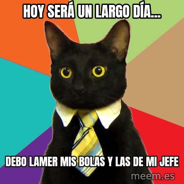Business Cat meme: HOY SERÁ UN LARGO DÍA... / DEBO LAMER MIS BOLAS Y LAS DE MI JEFE