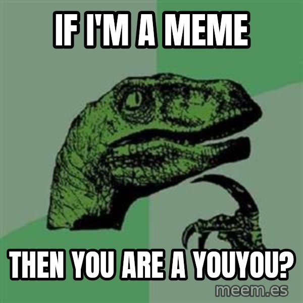 Philosoraptor meme: if i'm a meme / then you are a youyou?