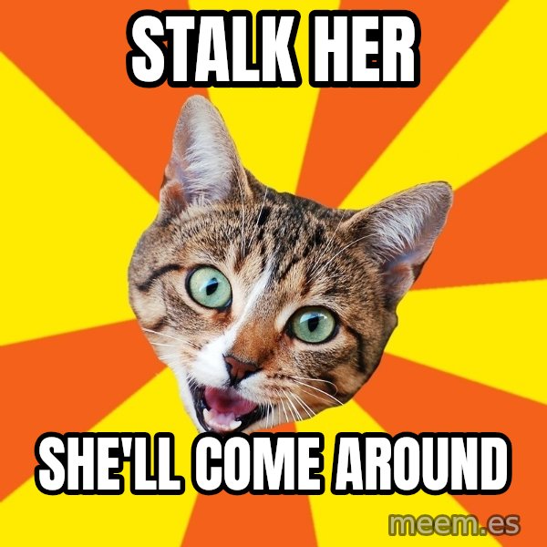 Bad Advice Cat meme: stalk her / she'll come around