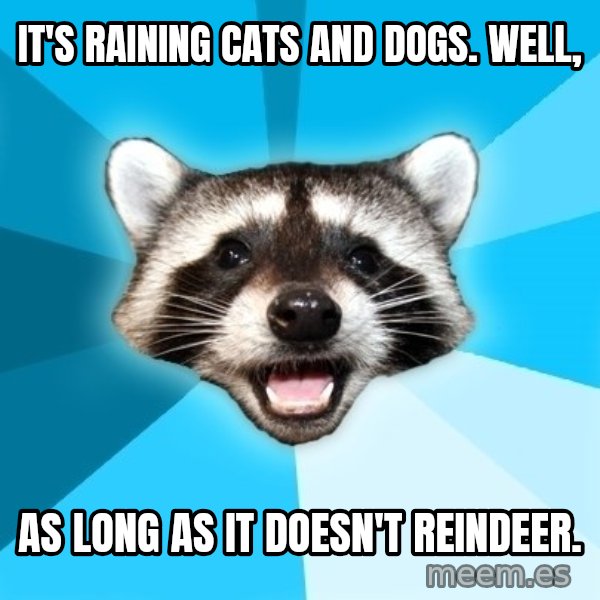 Lame Pun Coon meme: It's raining cats and dogs. Well, / AS LONG AS IT DOESN'T REINDEER.
