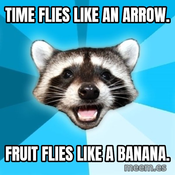 Lame Pun Coon meme: Time flies like an arrow. / FRUIT FLIES LIKE A BANANA.