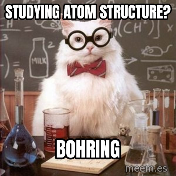 Chemistry Cat meme: Studying atom structure? / Bohring
