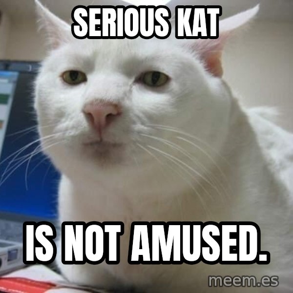 Serious Cat meme: Serious Kat / Is not amused.