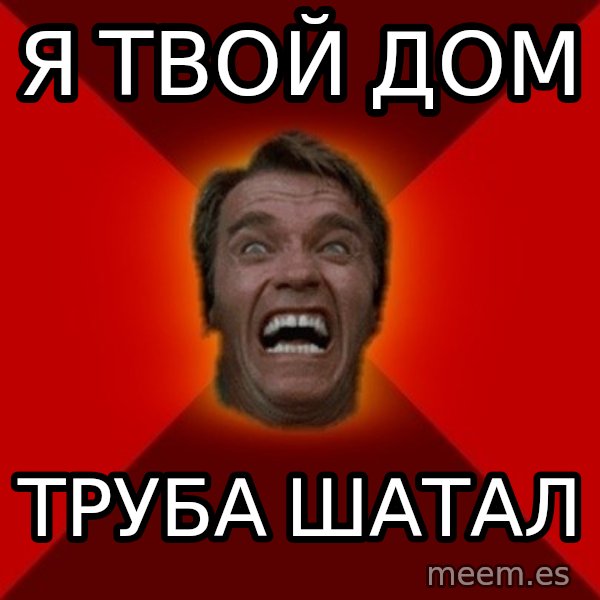 Angry Arnold meme: я твой дом / труба шатал