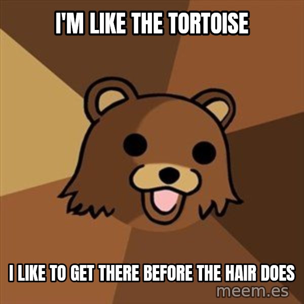 Pedobear meme: I'm like the tortoise / I like to get there before the hair does