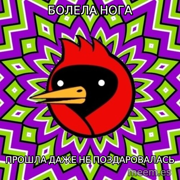 Omsk Crow meme: болела нога / прошла даже не поздаровалась