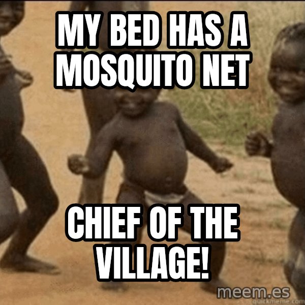 Third World Success meme: my bed has a mosquito net / chief of the village!