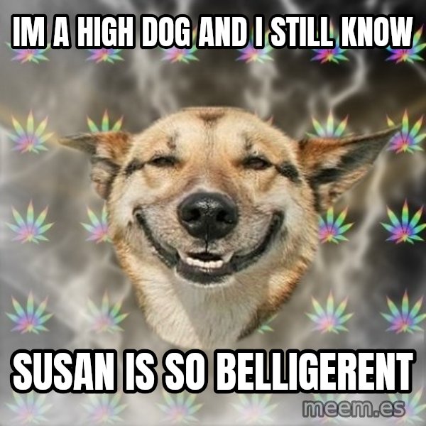 Stoner Dog meme: im a high dog and i still know / SUSAN IS SO belligerent
