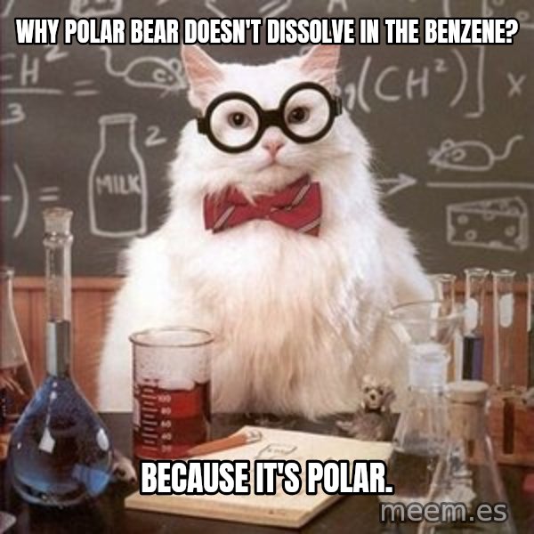 Chemistry Cat meme: Why polar bear doesn't dissolve in the benzene? / Because it's polar.