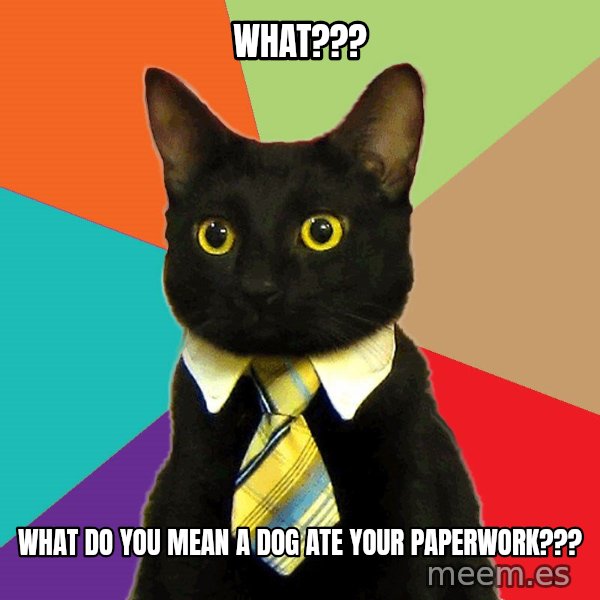 Business Cat meme: What??? / What do you mean a dog ate your paperwork???
