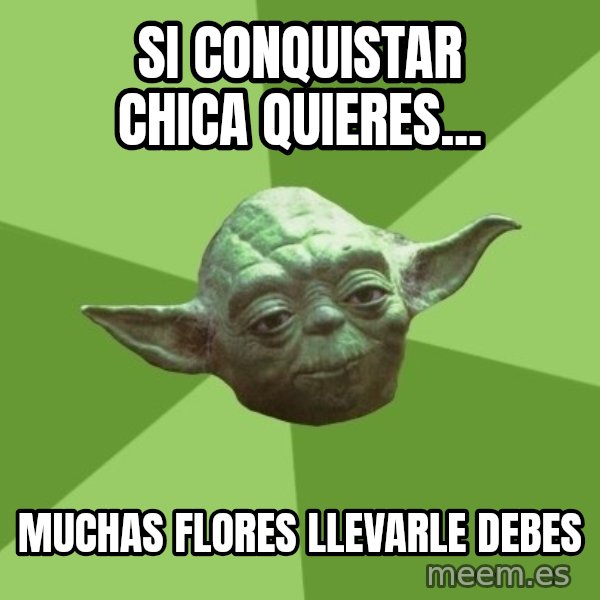 Advice Yoda Gives meme: si conquistar chica quieres... / muchas flores llevarle debes