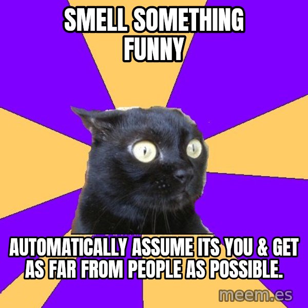 Anxiety Cat meme: Smell something funny / automatically assume its you & get as far from people as possible.
