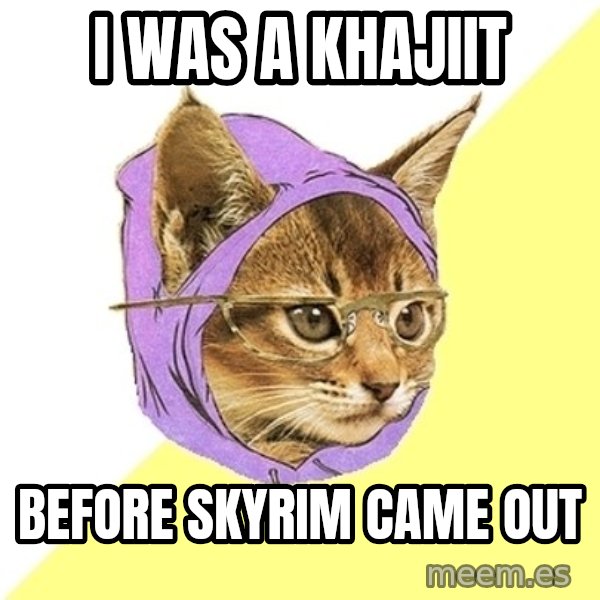 Hipster Kitty meme: i was a khajiit / before skyrim came out