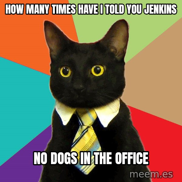 Business Cat meme: how many times have i told you jenkins / no dogs in the office