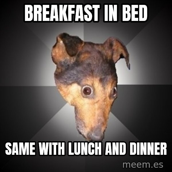 Depression Dog meme: breakfast in bed / same with lunch and dinner