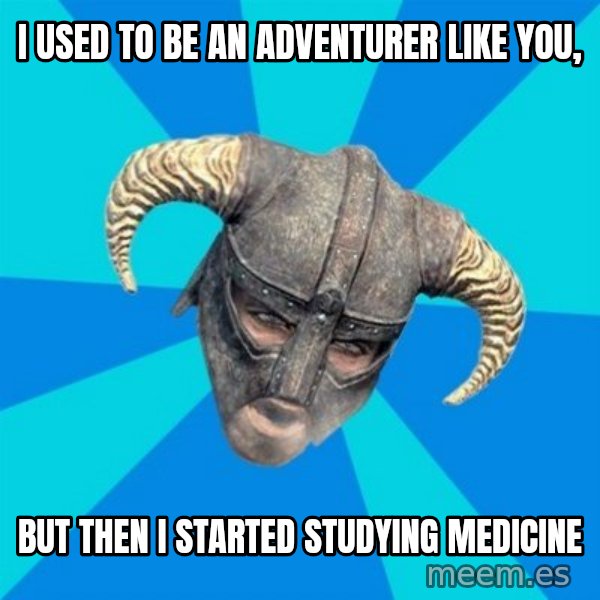 skyrim stan meme: i used to be an adventurer like you, / but then i started studying medicine