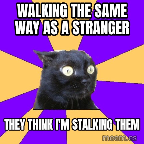 Anxiety Cat meme: walking the same way as a stranger / they think i'm stalking them