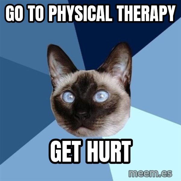 Chronic Illness Cat meme: Go to physical therapy / get hurt
