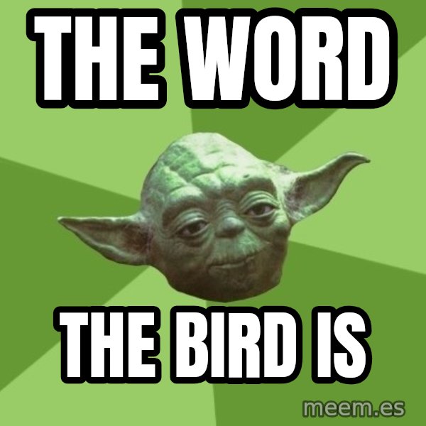 Advice Yoda Gives meme: the word / the bird is