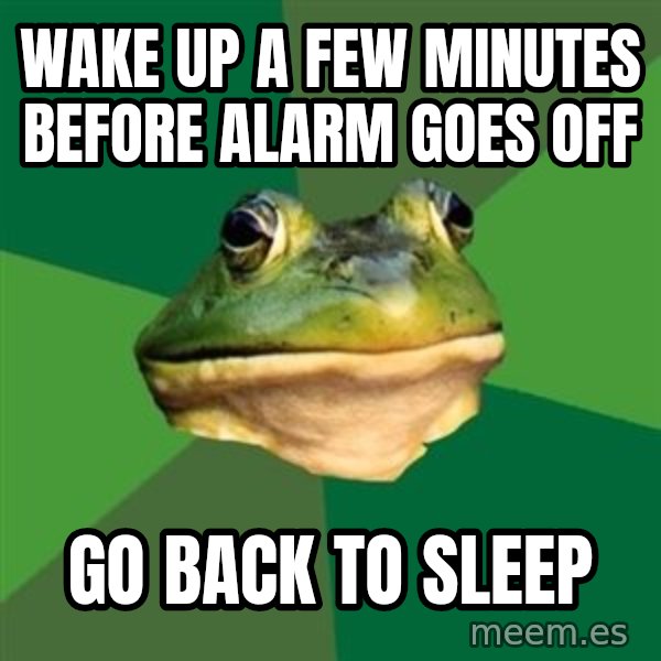 Foul Bachelor Frog meme: wake up a few minutes before alarm goes off / go back to sleep