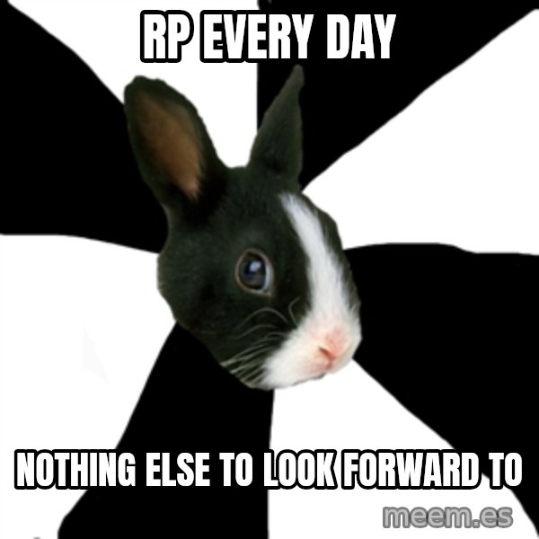 Roleplaying Rabbit meme: RP EVERY DAY / NOTHING ELSE TO LOOK FORWARD TO
