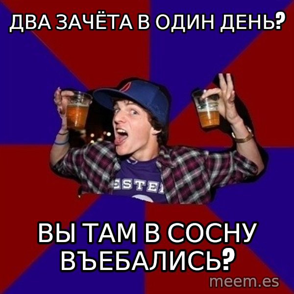Sunny Student meme: два зачёта в  один день? / вы там в сосну    въебались?