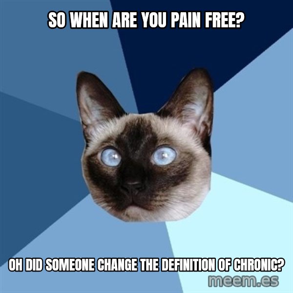 Chronic Illness Cat meme: SO WHEN ARE YOU PAIN FREE? / oh did someone change the definition of chronic?
