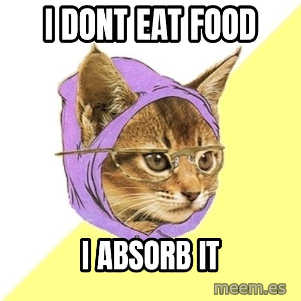 Hipster Kitty meme: i dont eat food / i ABSORB it