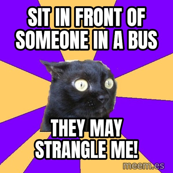 Anxiety Cat meme: sit in front of someone in a bus / they may strangle me!
