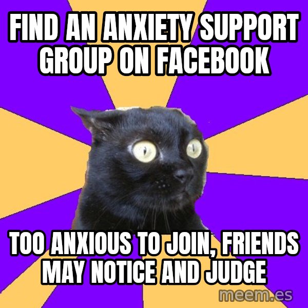 Anxiety Cat meme: find an anxiety support group on facebook / too anxious to join, friends may notice and judge