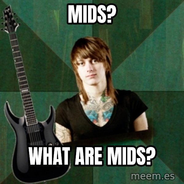Progressive Guitarist meme: Mids? / What are mids?