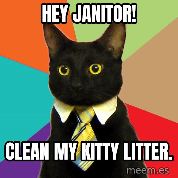 Business Cat meme: Hey janitor! / Clean my kItty litter.