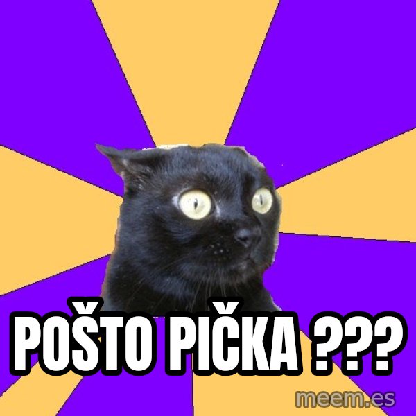 Anxiety Cat meme: Pošto pička ???