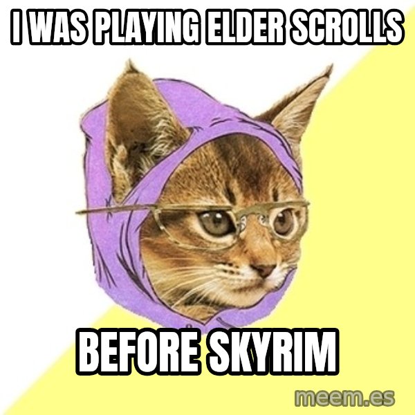 Hipster Kitty meme: I was playing  elder scrolls / before skyrim