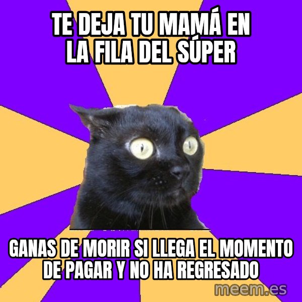 Anxiety Cat meme: Te deja tu mamá en la fila del súper / ganas de morir si llega el momento de pagar y no ha regresado