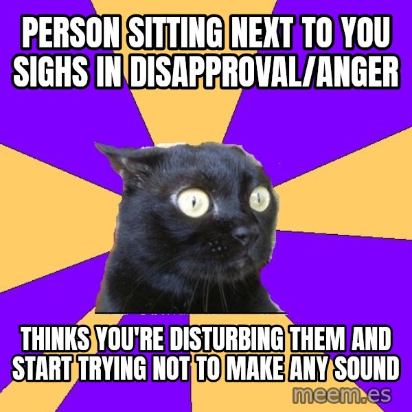 Anxiety Cat meme: person sitting next to you sighs in disapproval/anger / thinks you're disturbing them and start trying not to make any sound