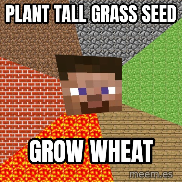 Minecraft Guy meme: plant tall grass seed / grow wheat